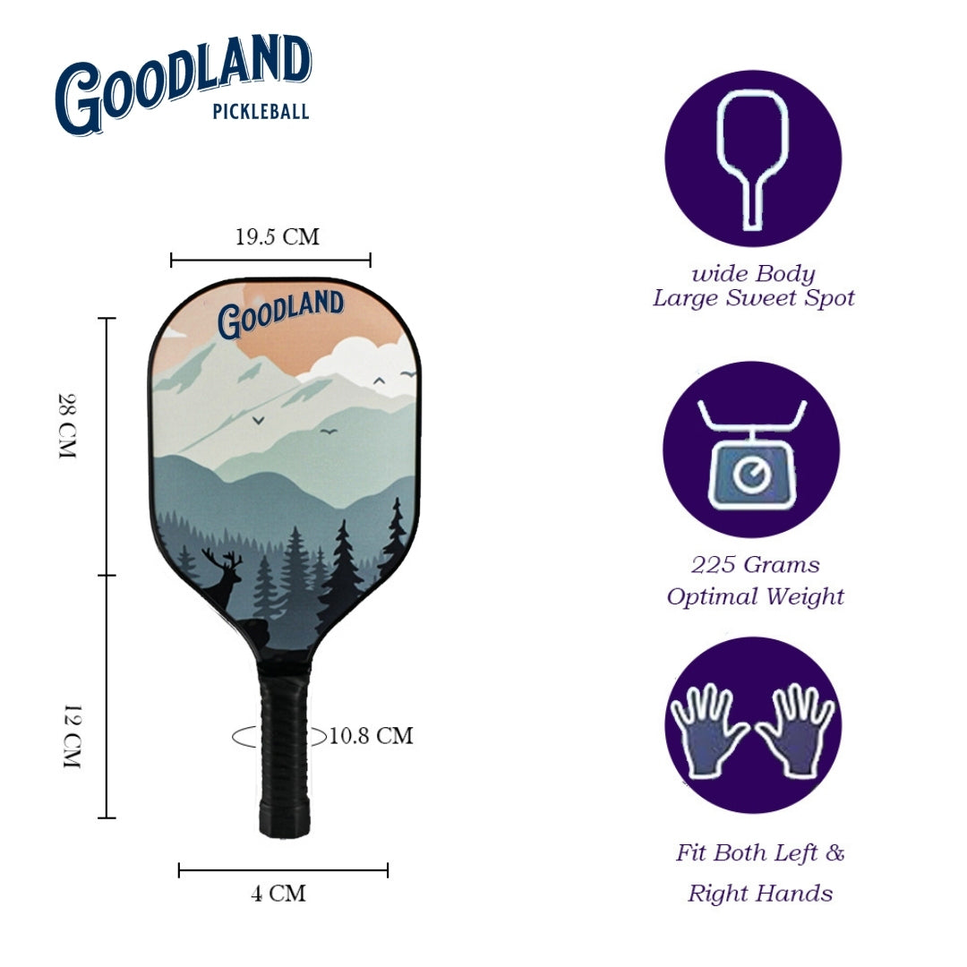 Pickleball Paddle Set : Carbon Fiber